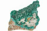 Gemmy Dioptase Crystals on Dolomite - N'tola Mine, Congo #209684-1